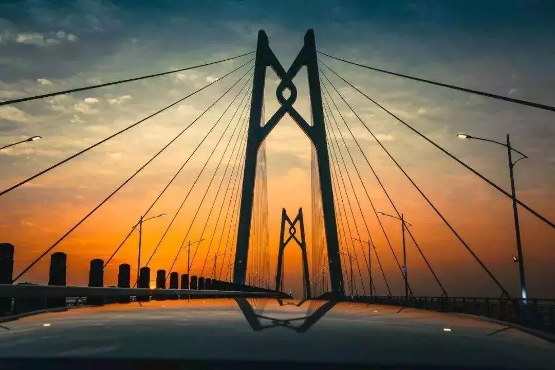 2025今晚必中必开一肖与新澳门2025最精准免费，详细解答、解释与落实